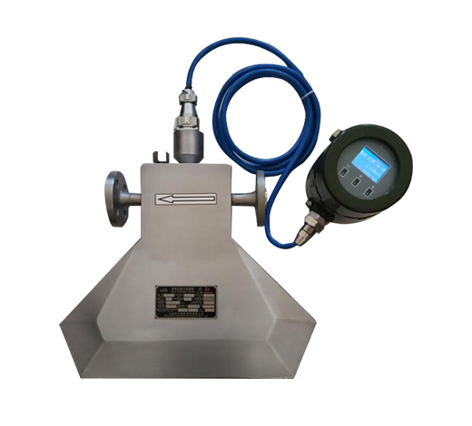 Coriolis Flow Meter RWCMF